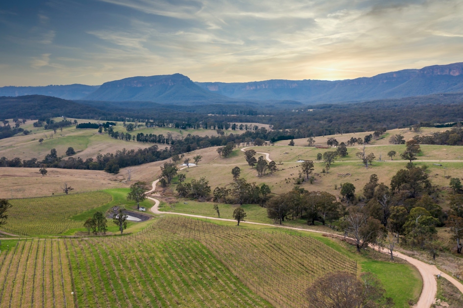 Drinks & tastings in Blue Mountains Drinks & tastings in Blue Mountains
