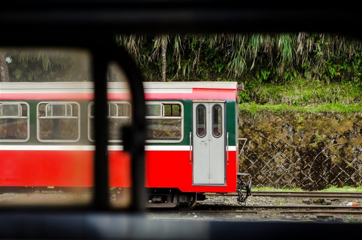 Alishan half day guided tour by bus from Chiayi
