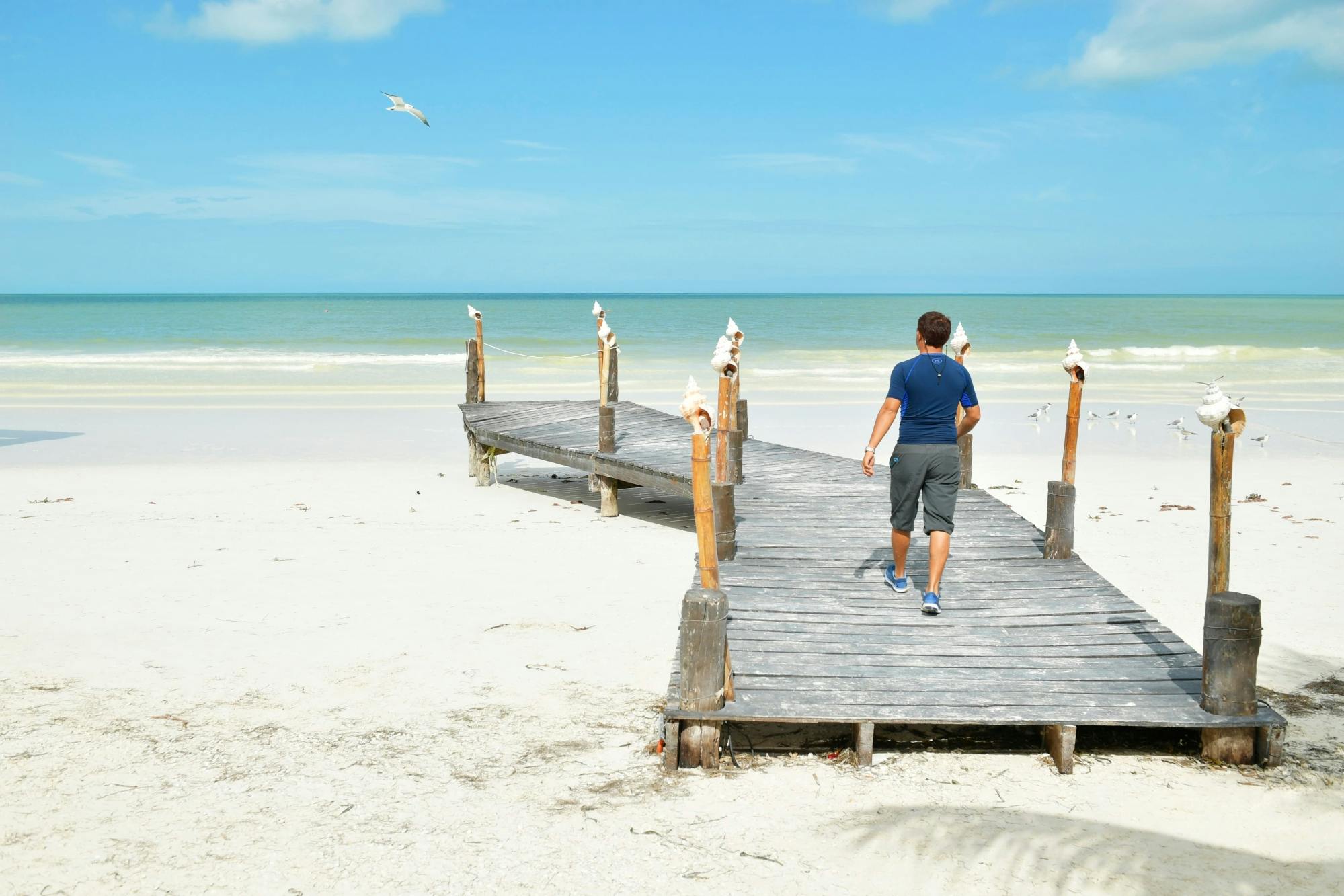 Holbox Island Adventure