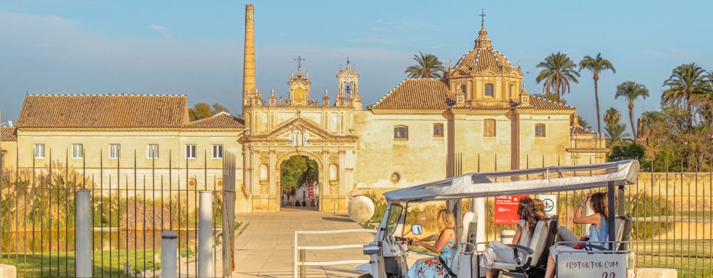 2-hour expert tour of Seville in a private electric tuk-tuk