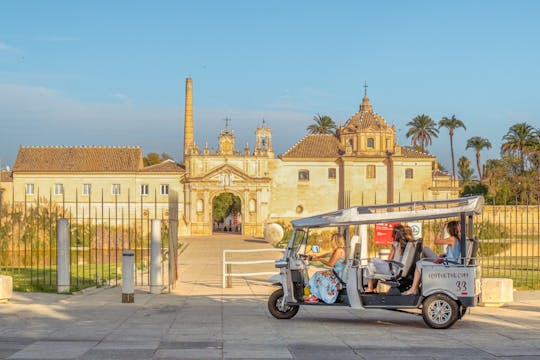 2-hour expert tour of Seville in a private electric tuk-tuk