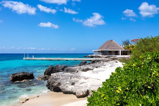 Exclusive Self-Drive Buggy Tour of Cozumel Island