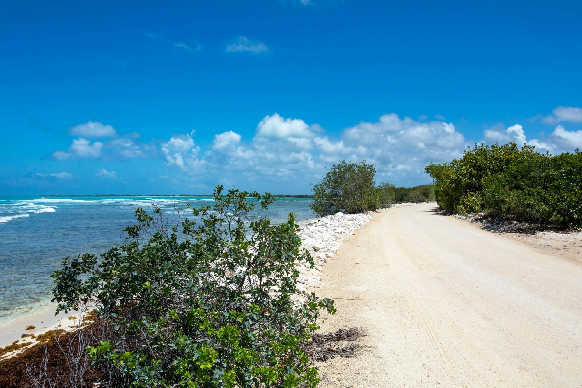 Exclusive Self-Drive Buggy Tour of Cozumel Island