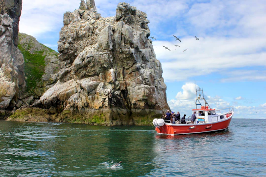 Howth coastal 1-hour boat tour