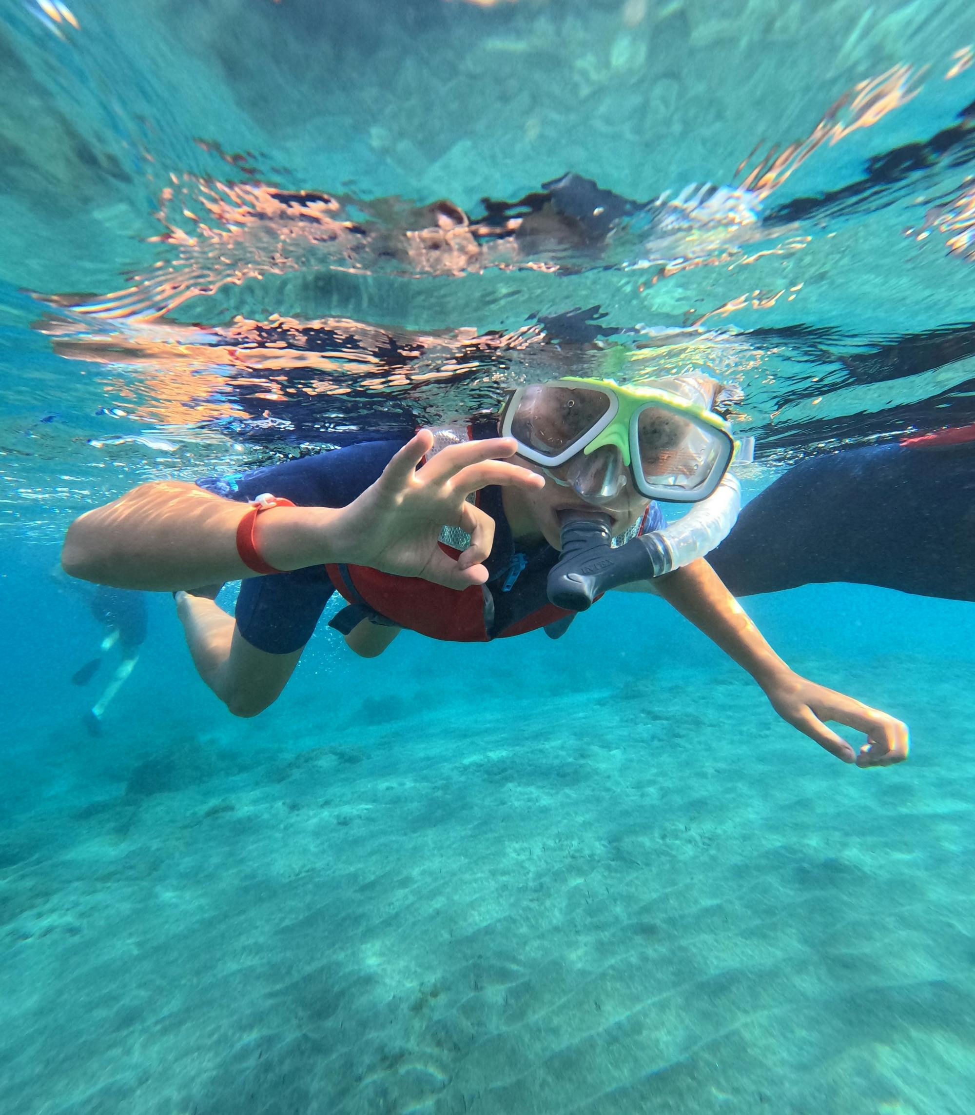 Snorkeloplevelse i den sydlige del af Fuerteventura