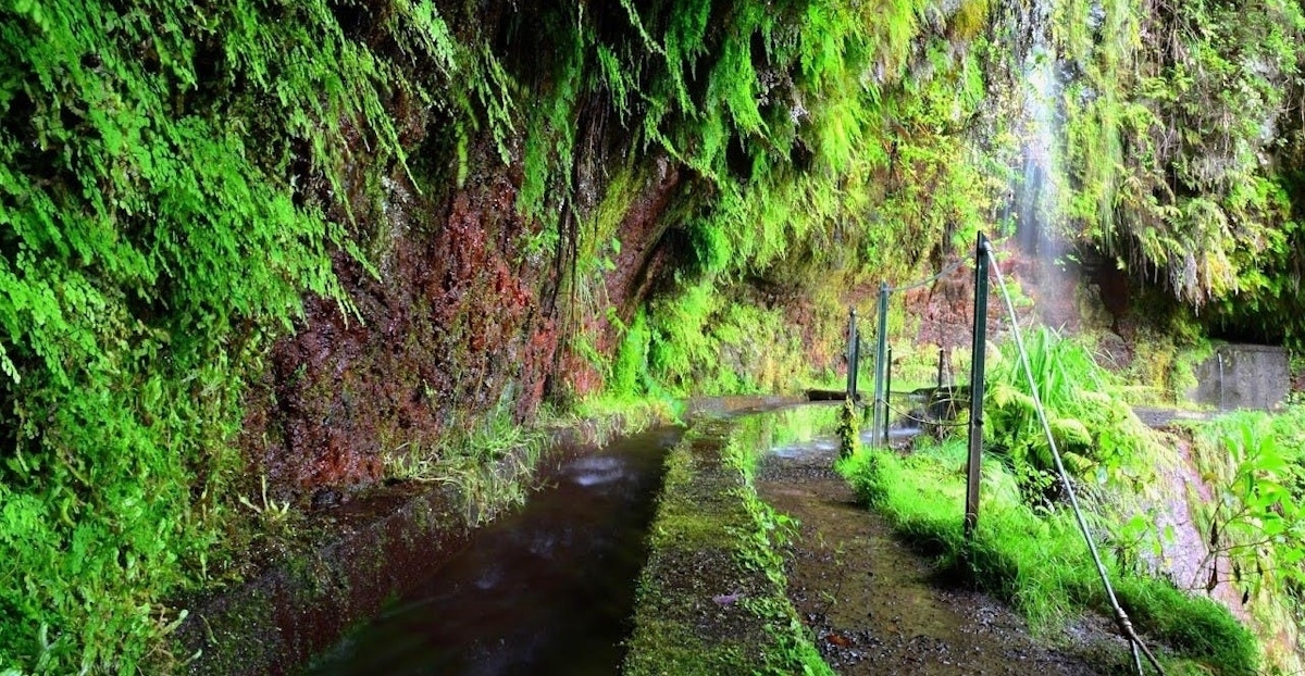 Full-day Levada do Rei walking tour to Ribeiro Bonito | musement