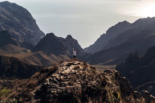 Visite guidée à pied des sites naturels de Tenerife depuis le nord