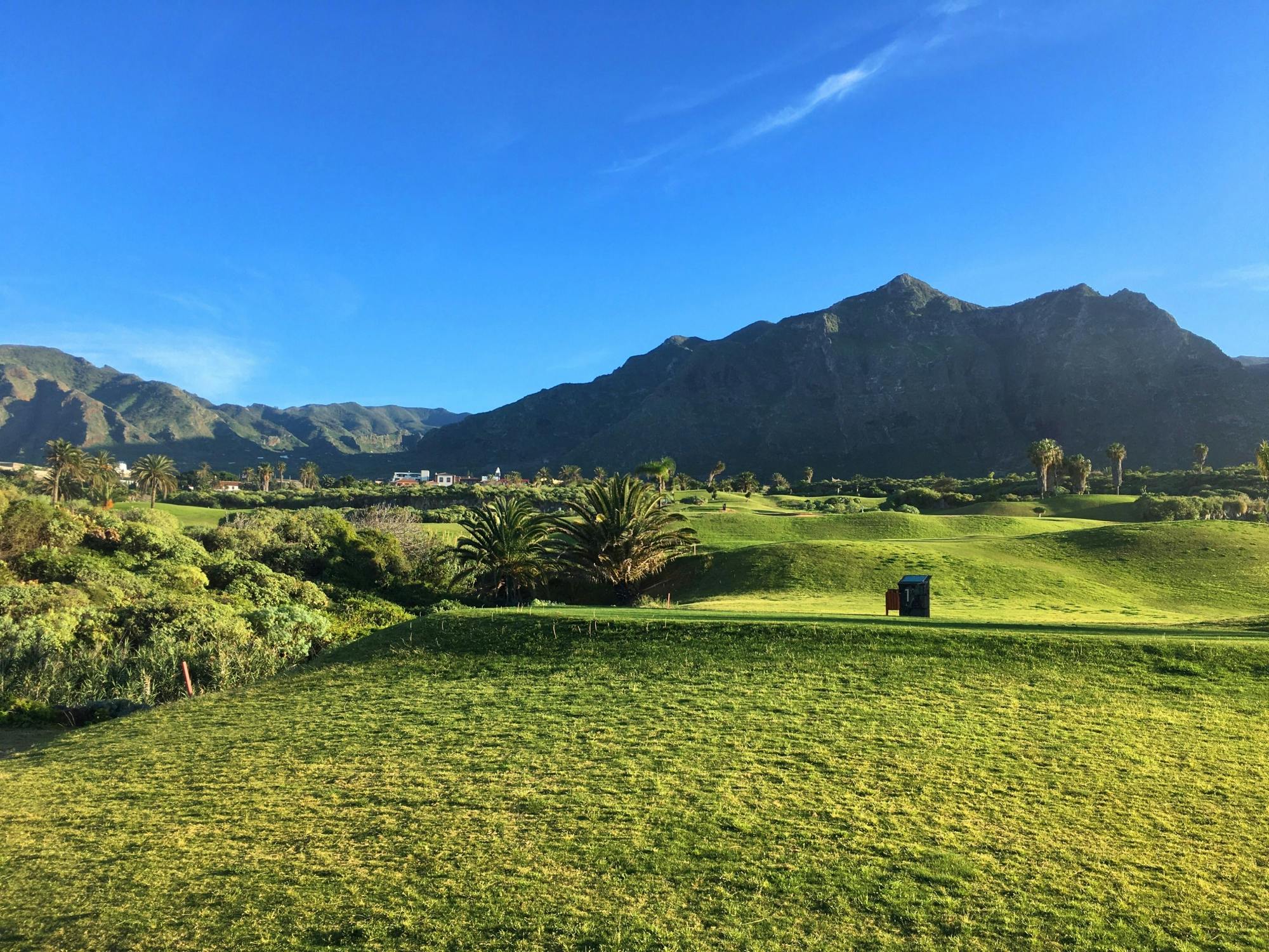 Tenerife Natural Highlights Easy Walking Tour