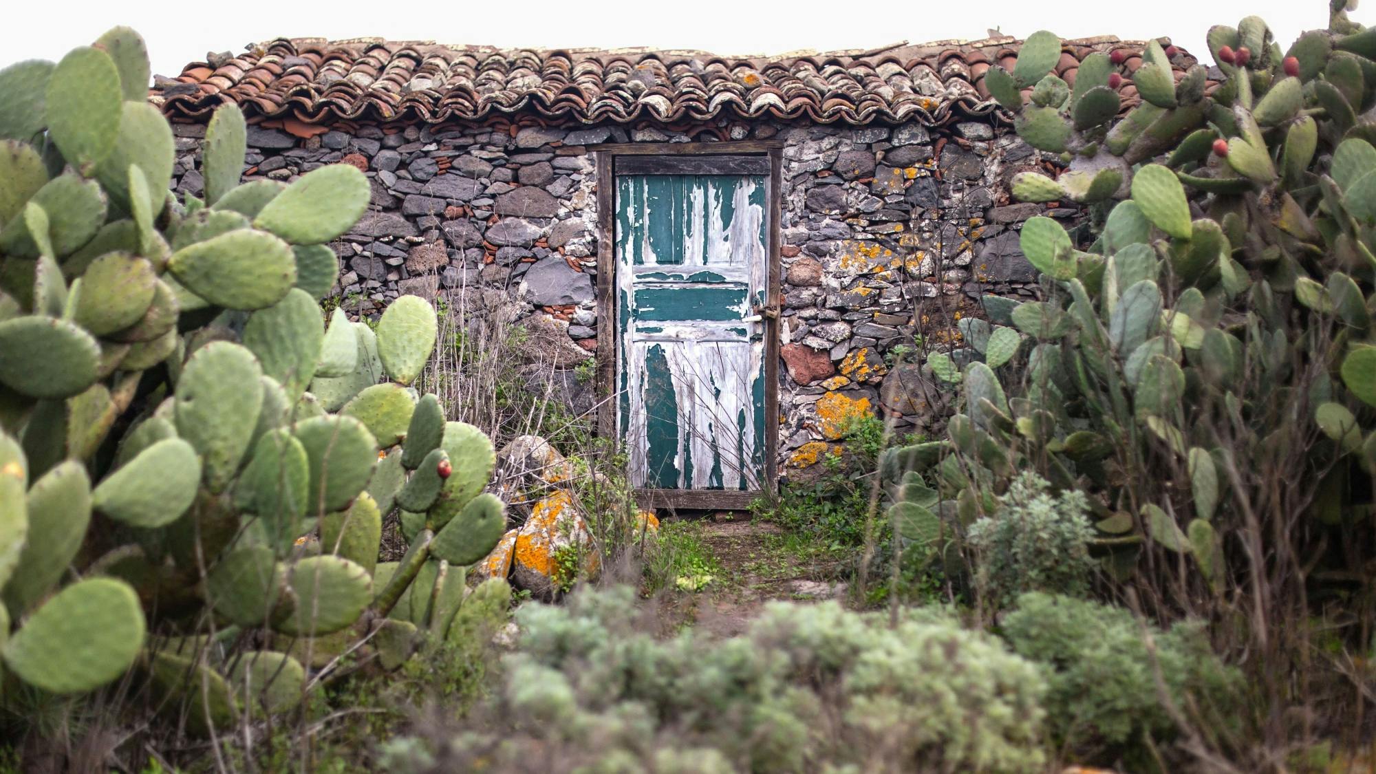 Tenerife Natural Highlights Easy Walking Tour