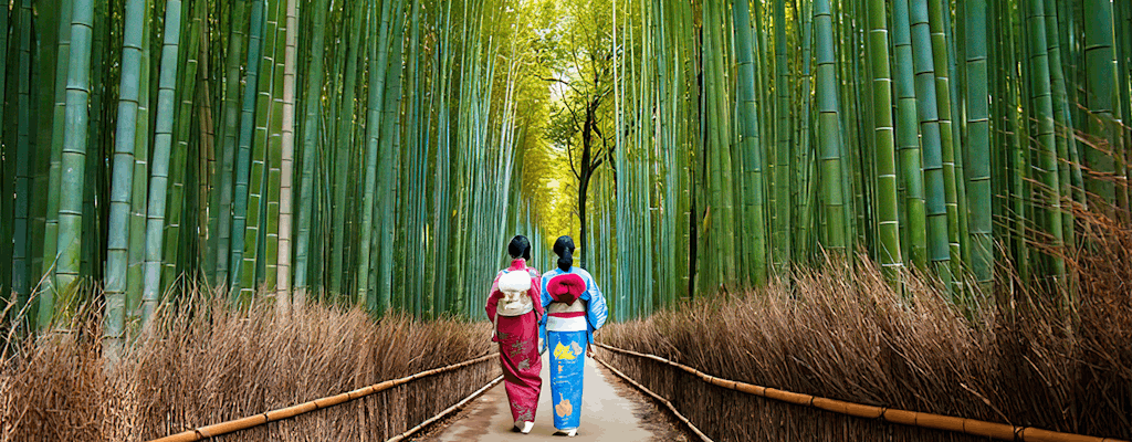 Höhepunkte der Arashiyama-Wanderung mit Bambuswald und Affenpark