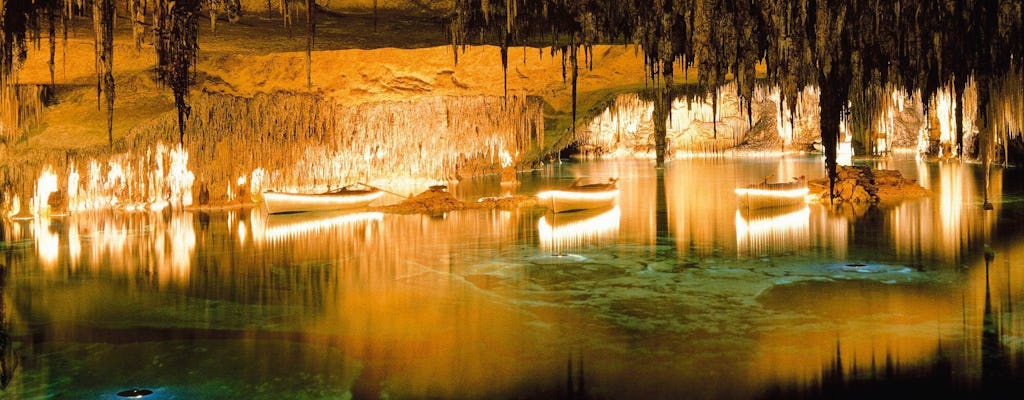 Excursión de medio día a las cuevas del Drach