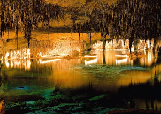 Excursión de medio día a las cuevas del Drach