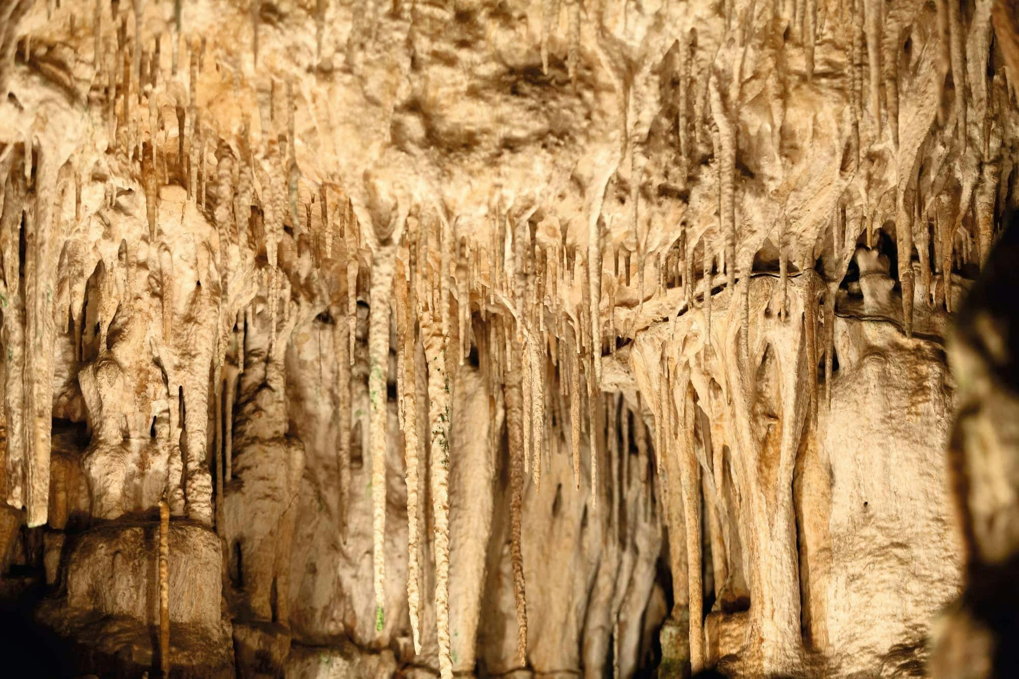 Drach Caves Half-Day Tour