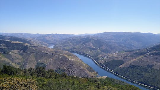 Douro and Vinho Verde private tour from Porto
