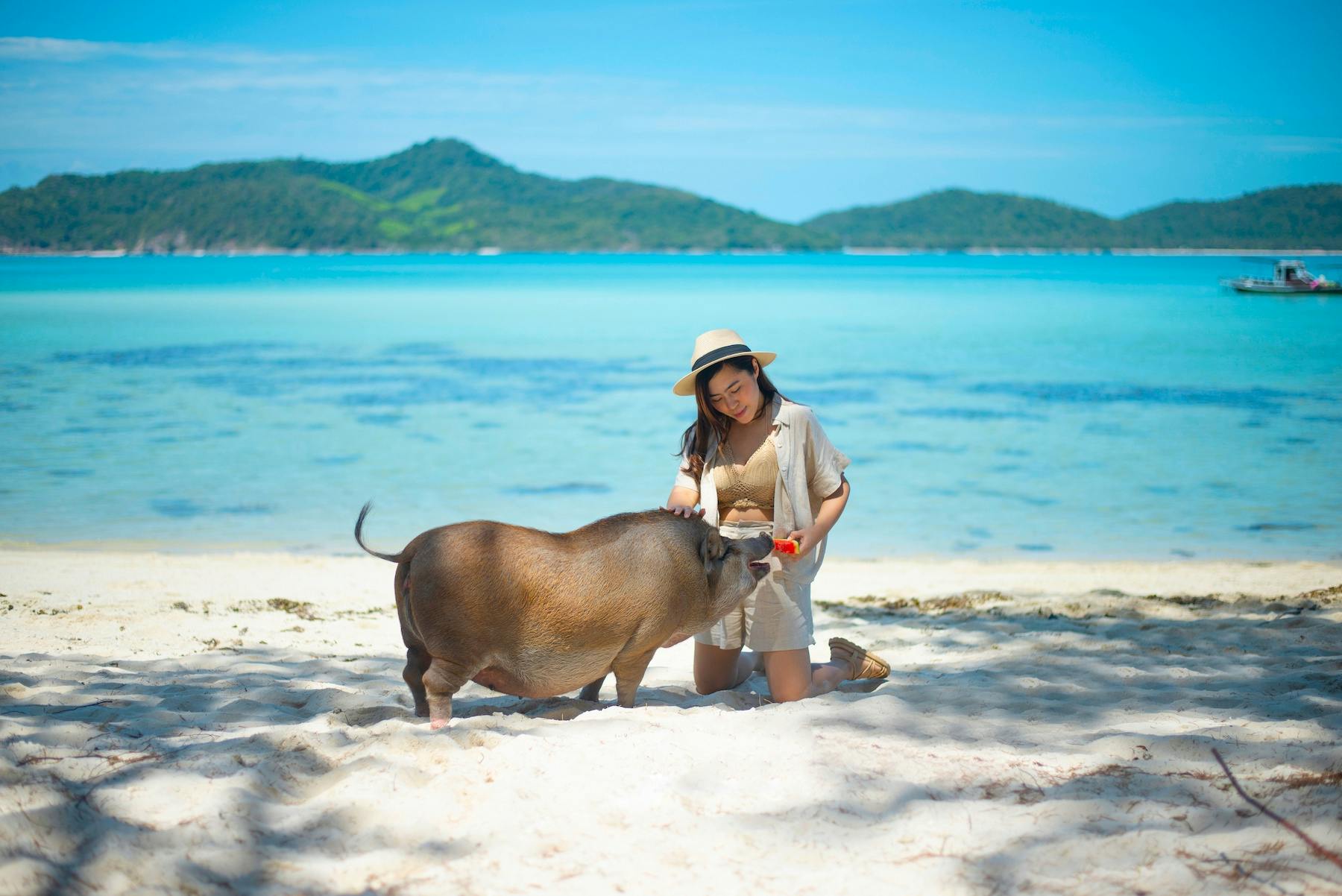 Private boat tour to Koh Mat Sum from Samui Pig Island