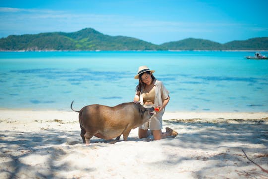Private half-day longtail boat tour to Koh Mat Sum from Koh Samui