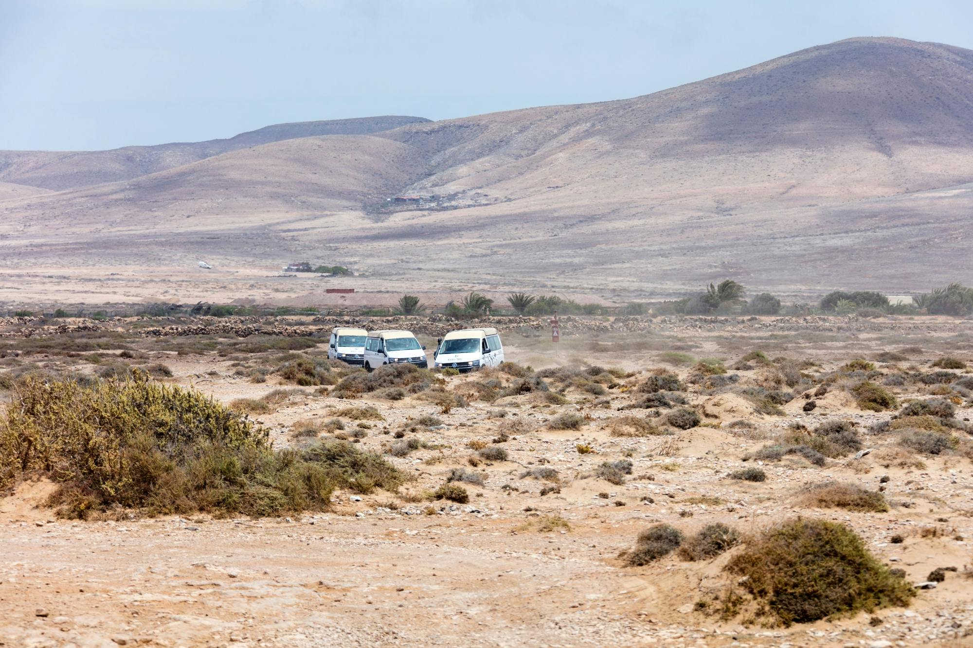 Fuerteventura med rundtur i firhjulstrækker og katamarantur til øen Lobos