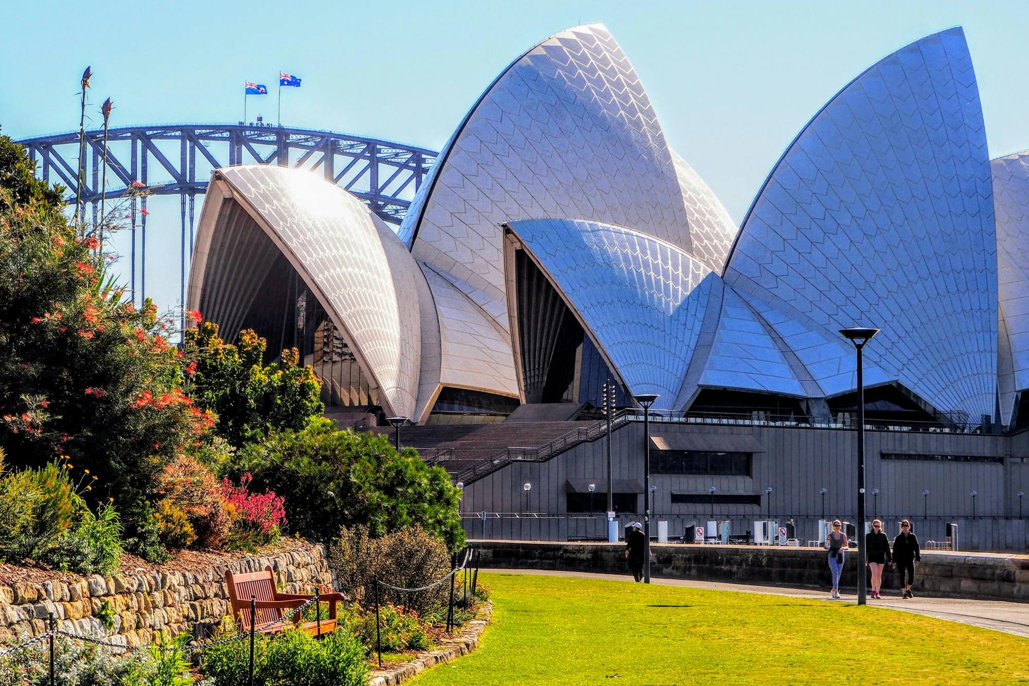 Sydney Harbour private walking tour with Aussie treats Musement