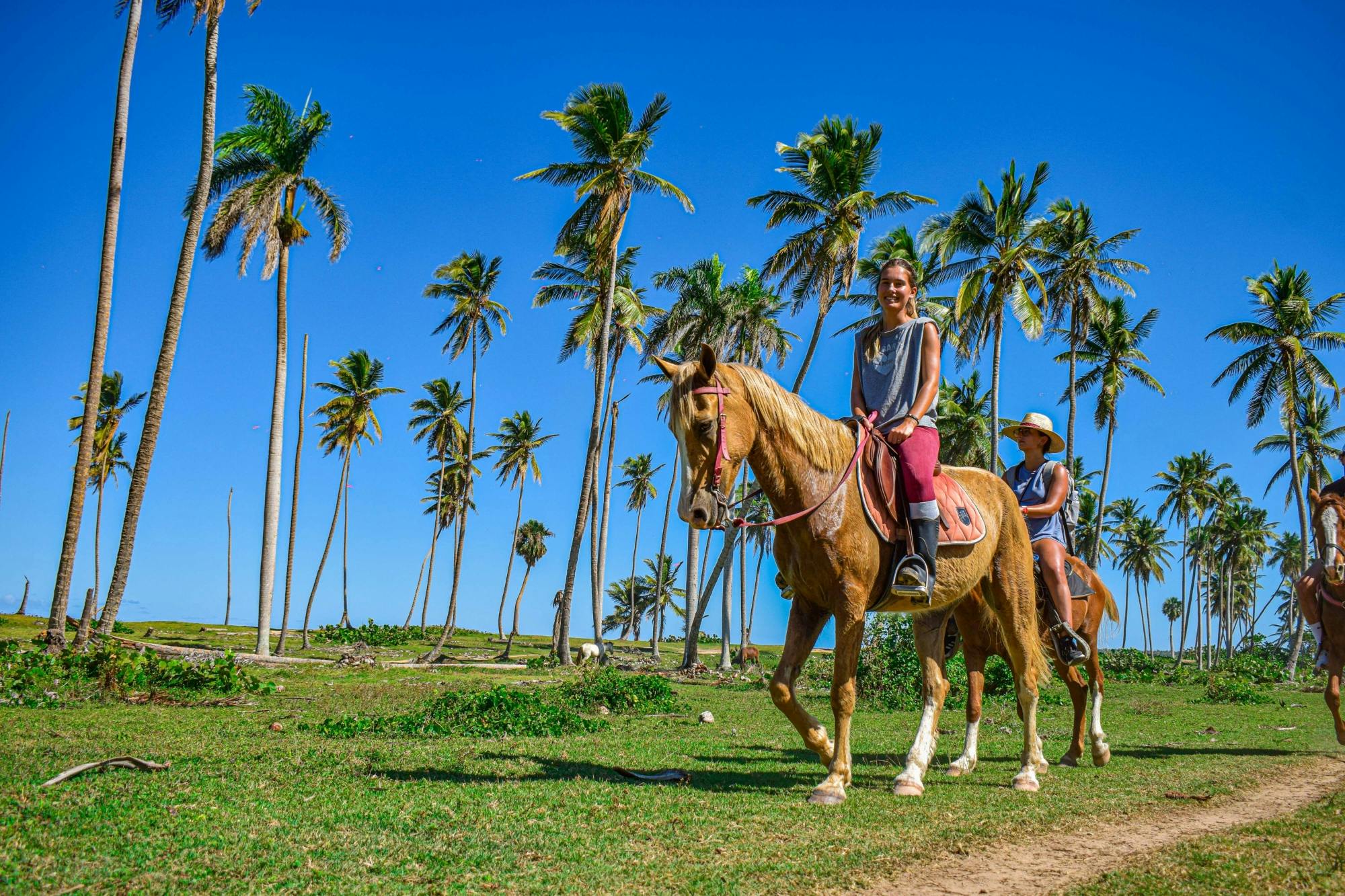 Experiencia a caballo y en vehículos todo terreno en Wild District