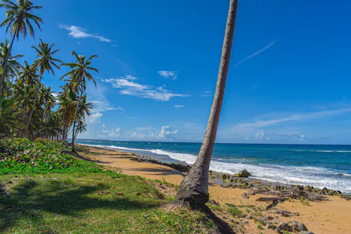 Wild District Horseriding and ATV Experience