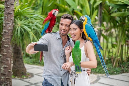 Eintrittskarte für den Vogelpark Bali