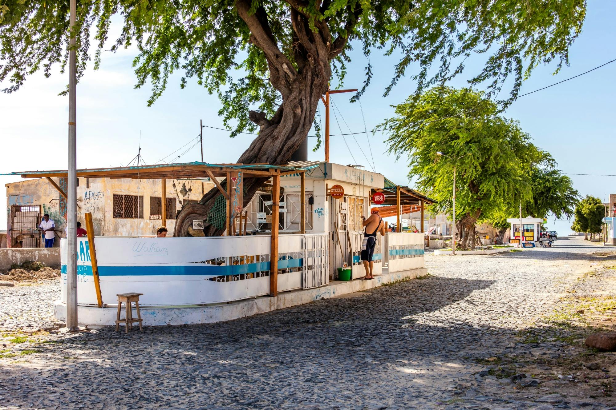 Boa Vista Full Day 4x4 Island Tour with Beachfront Lunch