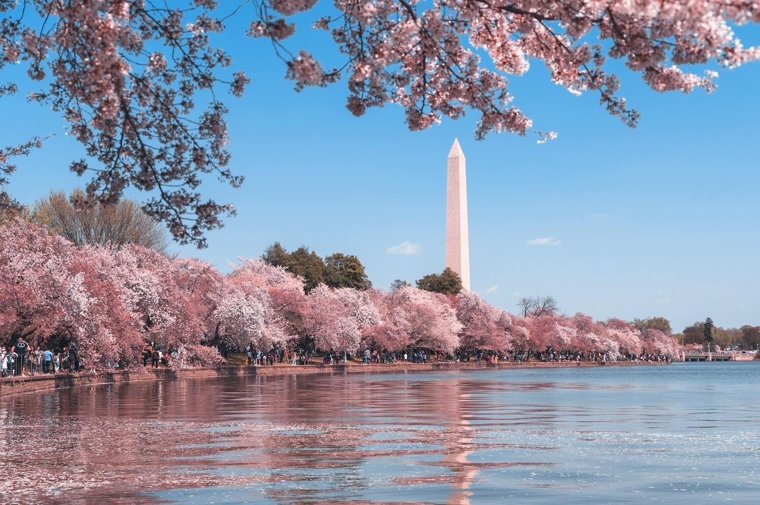 Washington D.C.'s Hidden Gems Self-Guided Adventure