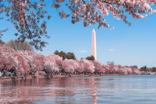 Washington D.C.'s Hidden Gems Self-Guided Adventure