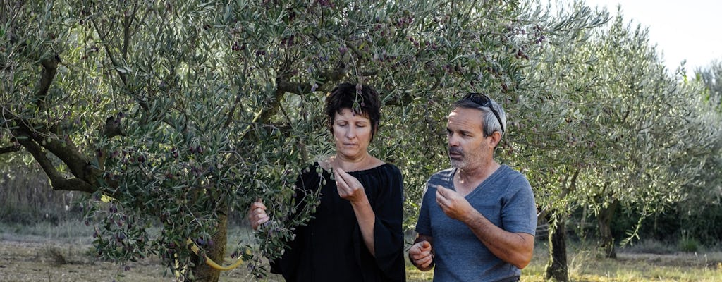 Terrasses du Larzac experiencia de día completo con aceite de oliva y vino
