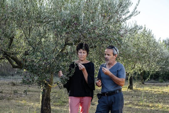 Expérience d'une journée complète en matière d'huile d'olive et de vin aux Terrasses du Larzac