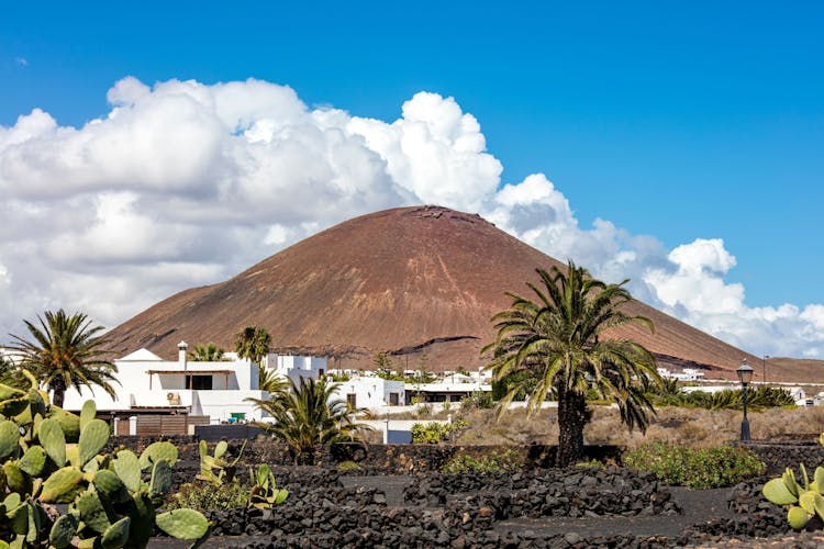 Lanzarote Cesar Manrique Foundation & Cactus Garden Tour