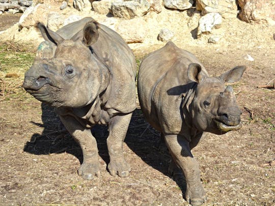 Entradas para el zoo Terra Natura