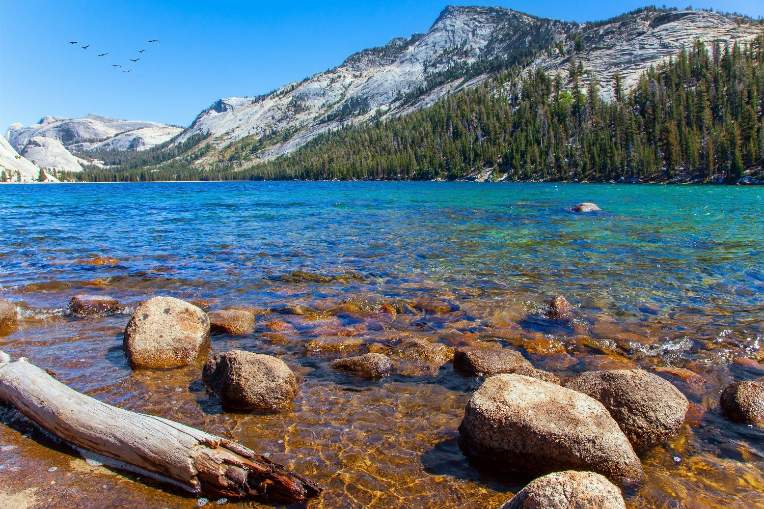 Yosemite National Park Self-Guided Driving Audio Tour with Optional Bundles Musement