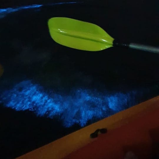 Passeio guiado ao pôr do sol com caiaque noturno de plâncton bioluminescente