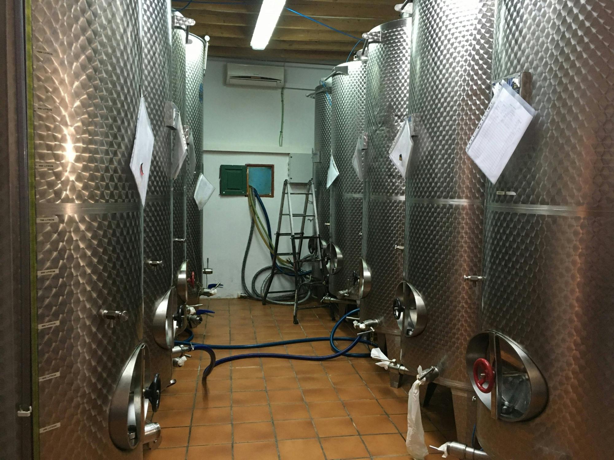 Finestat Guided Tour and Olive Farm Visit with Tasting