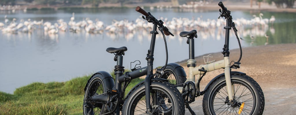 Aventure en vélo électrique assistée dans le désert de Dubaï