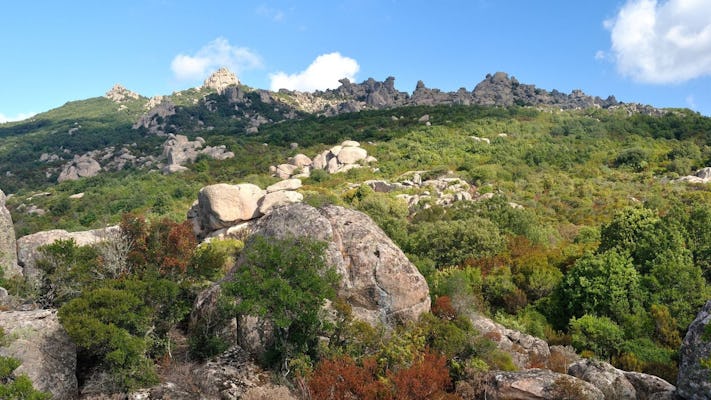 Experiência de trekking de meio dia na floresta de veados de Castiadas, na Sardenha
