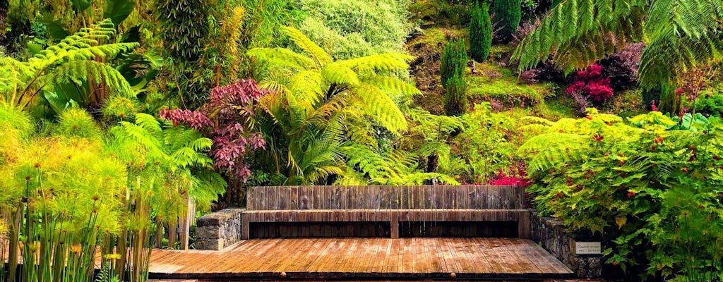 Furnas thermal baths experience by night with dinner