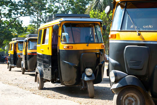 Colonial Goa tour with rickshaw and train ride