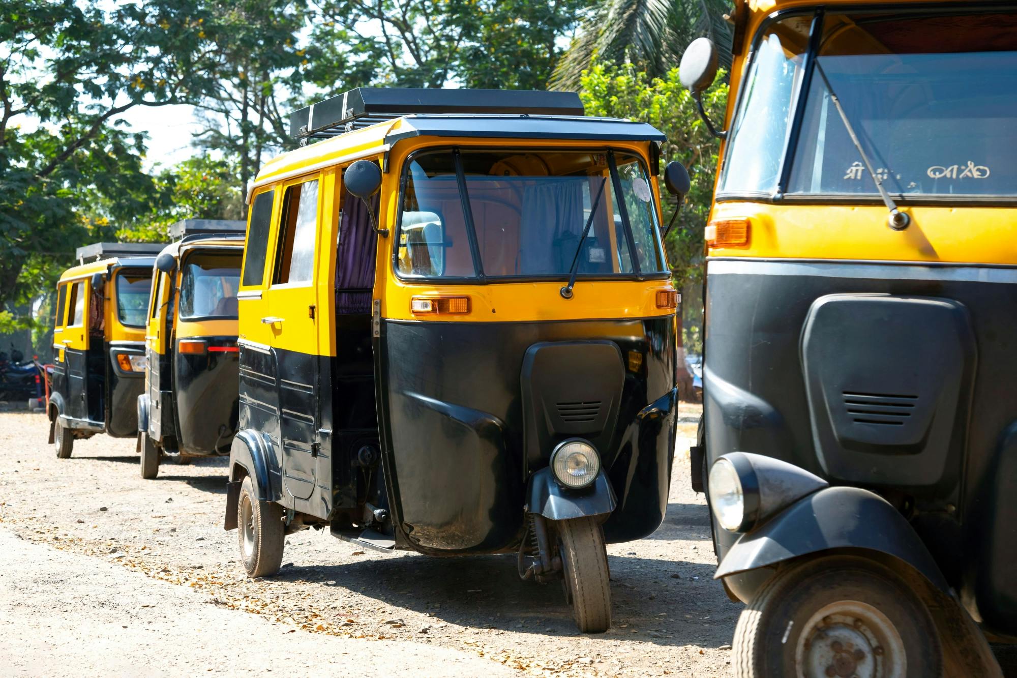 Tour colonial de Goa con rickshaw y paseo en tren