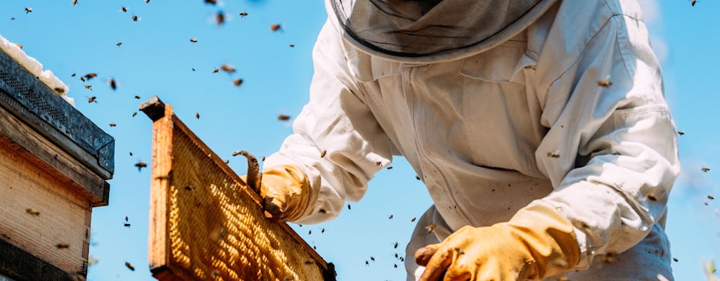 Nat Geo Day Tour: De fascinerende wereld van bijen