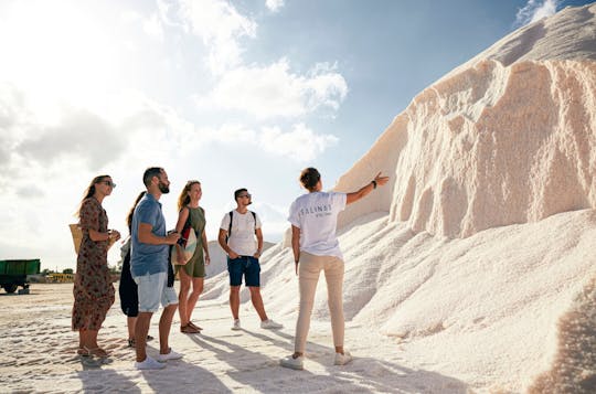 Nat Geo Day Tour : La "flor de sal" de Majorque, le savoir d'un trésor insulaire