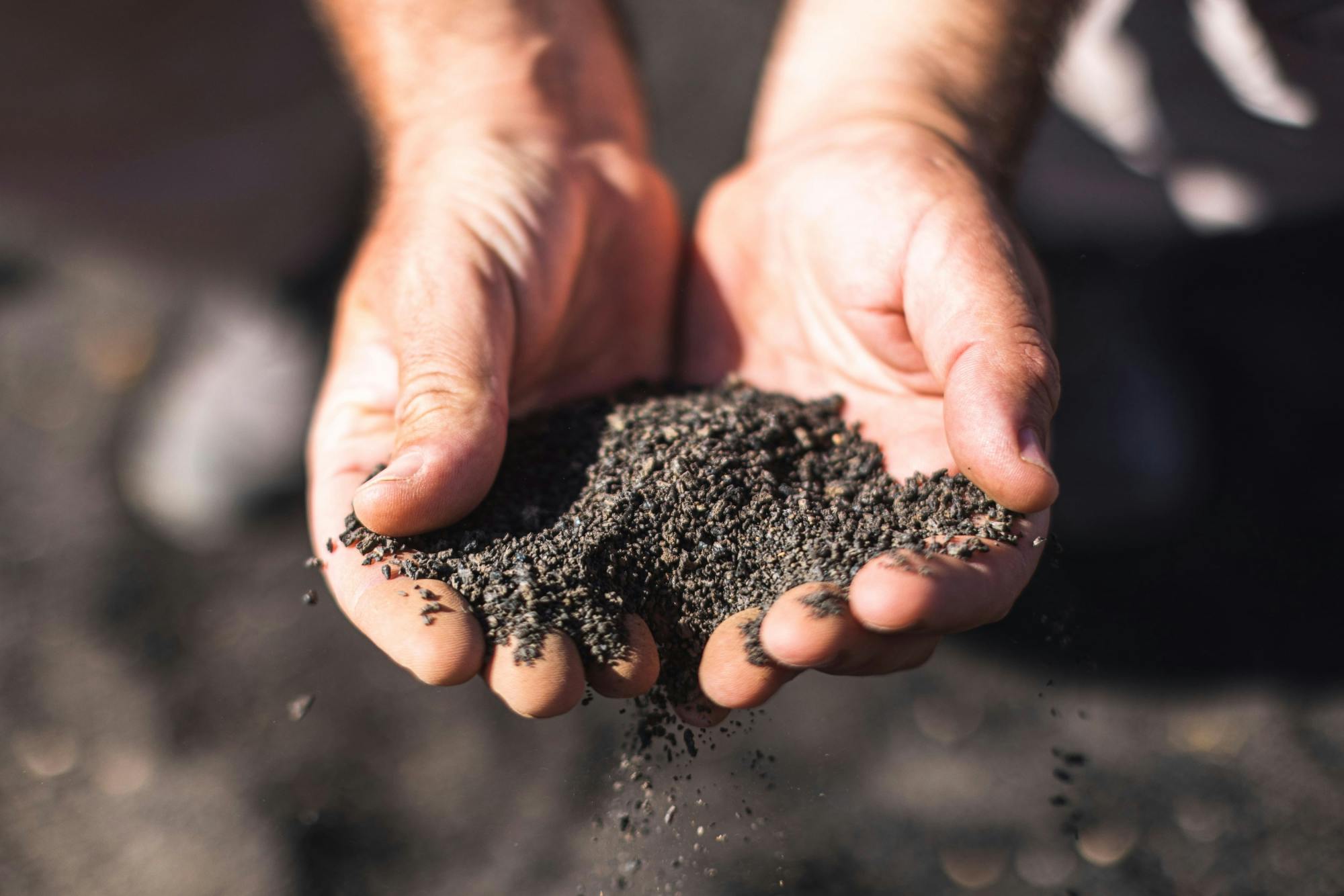 Nat Geo Day Tour: La Geria, Vineyards that Sprouted from Fire