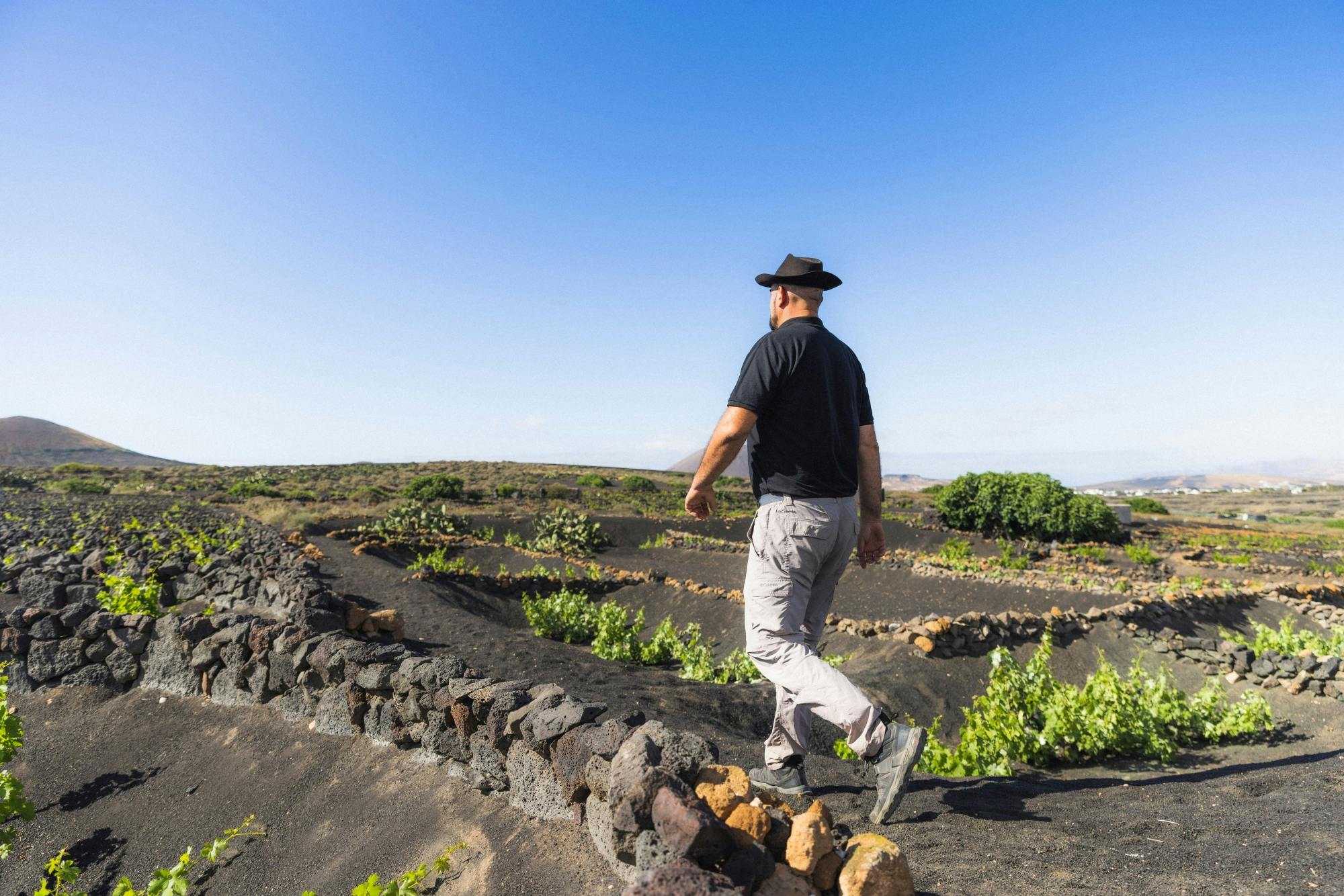 Nat Geo Day Tour: La Geria, Vineyards that Sprouted from Fire