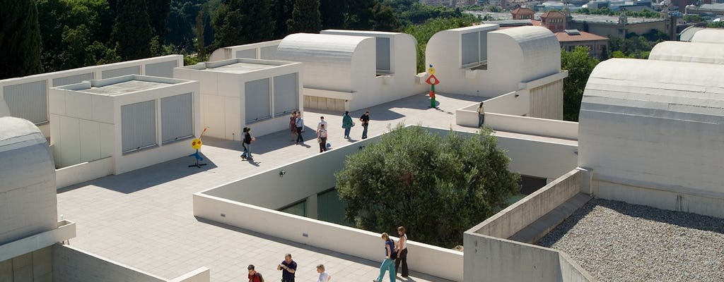 Nat Geo Day Tour: Hommage aan Miró