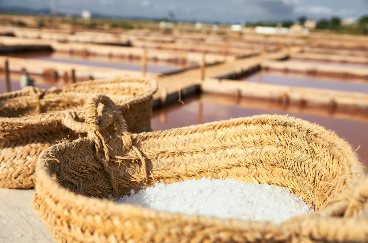 Nat Geo Day Tour: Flor de Sal, Mallorca's White Gold