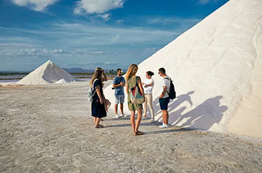 Nat Geo Day Tour: Flor de Sal, Mallorca's White Gold