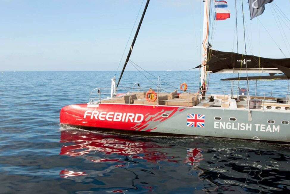 Exclusive Freebird Catamaran Whale & Dolphin Cruise to La Caleta