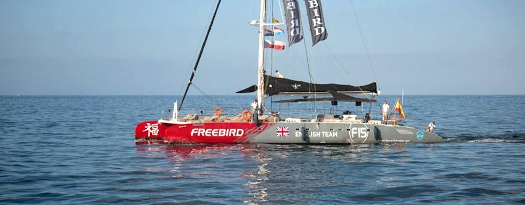 Exclusieve Freebird Catamaran Walvissen & Dolfijnen Spotten Cruise naar La Caleta