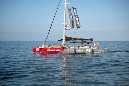 Exclusivo crucero Freebird en catamarán para ballenas y delfines a La Caleta